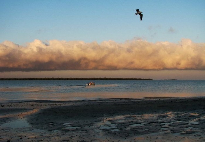 Mysterious Morning Glory Cloud Formation | Amusing Planet